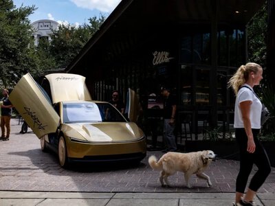 Tesla Robotaxi: нічні поїздки довші, але є проблеми з котами