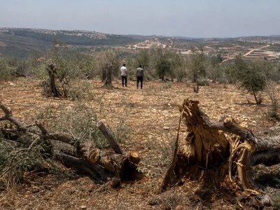 Палестинська комісія заявила про 62 916 атак на Західному березі — Anadolu Agency