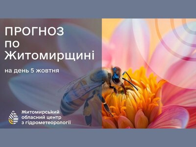 Погода сьогодні на Житомирщині