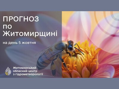 Погода сьогодні на Житомирщині