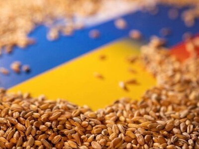 Українських аграріїв чекає удар: Єврокомісія не хоче збільшувати квоти