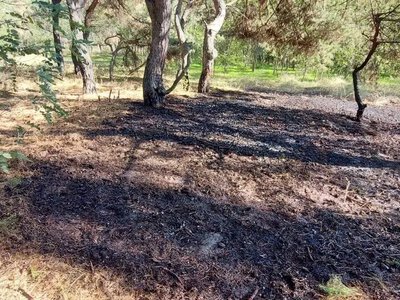 Комбайн, гаражі та суха трава: що горіло вихідними на Кременчуччині