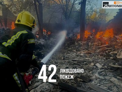 Пожежі, авіабомба та падіння з мосту: надзвичайні події тижня на Житомирщині