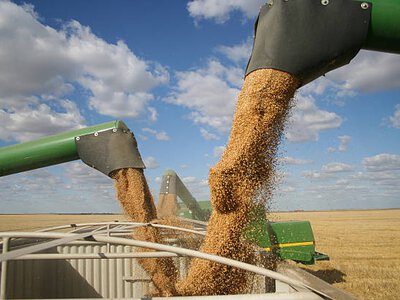 Україна у вересні експортувала 2,4 млн тонн аграрної продукції