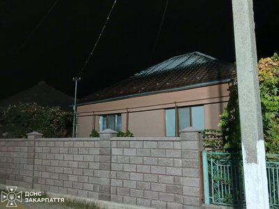 На Берегівщині пожежа знищила покрівлю та перекриття будинку