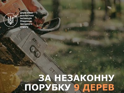 Зрубав 6 акацій та 3 дуби: на Миколаївщині чоловікові дали 5 років за незаконну вирубку