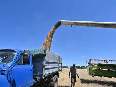 Польща та Румунія відмовилися розширювати транзит українського зерна