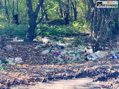 У Житомирі вздовж вулиці Андріївської знову виявили стихійні сміттєзвалища