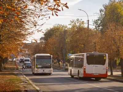 Без обмежень і заторів: автобуси Києва змінили маршрути