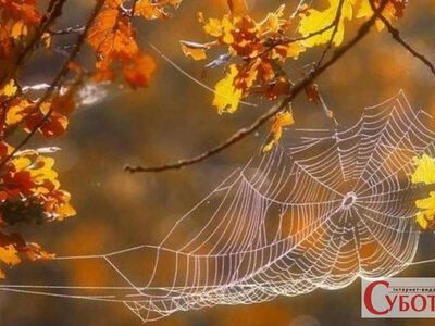 Синоптики розповіли, якою буде погода в Житомирі та області цього тижня