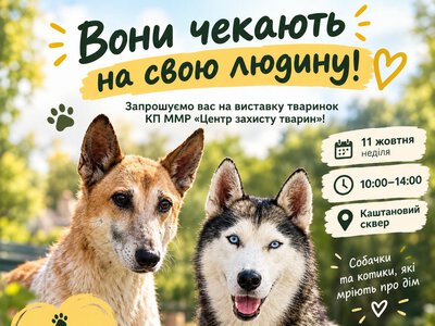 «Центр захисту тварин» поновлює виставки-прилаштування собак і котів у Миколаєві – приходьте найближчої неділі