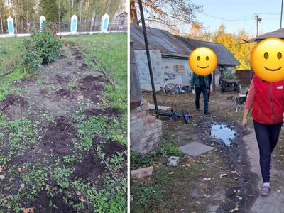 Школу закрили — троянди покрали: у громаді розгорівся скандал