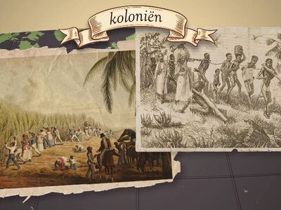 Нідерландський королівський дім свідомо брав участь у колоніальній експлуатації