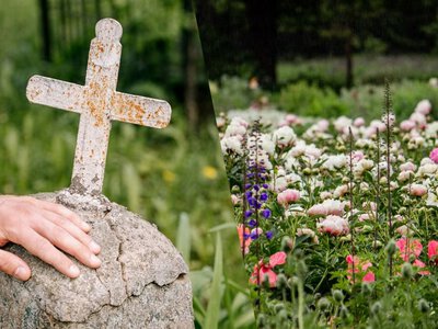 Ці 5 квітів не варто садити на могилі: вони приносять проблеми