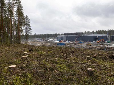 Регулятор Фінляндії перевіряє вирубку 300 гектарів лісу для датацентру Google
