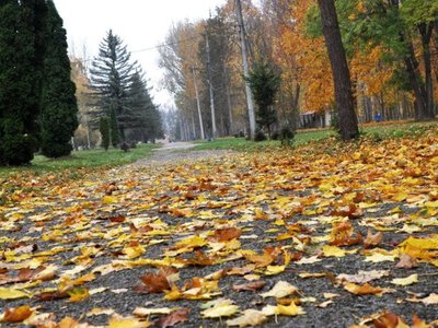 У вівторок в Україні без опадів, денний максимум +21°