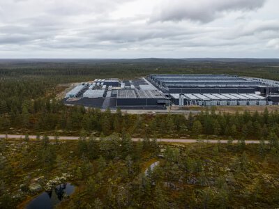 Google звинуватили у вирубці 300 гектарів лісу у Фінляндії заради дата-центру