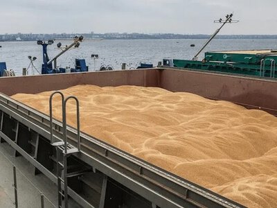 Росія різко скоротила експорт пшениці через Чорне море
