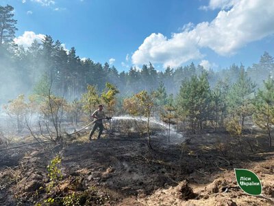 Понад сім гектарів лісу згоріли на Полтавщині через уламки дронів