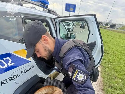 Дика лисиця посеред Києва: патрульні врятували травмовану тварину (фото)