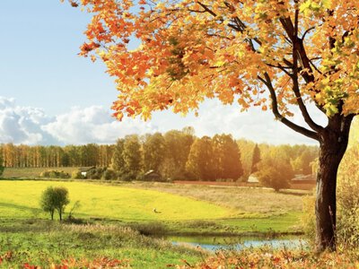На Буковині сьогодні буде до 23° тепла