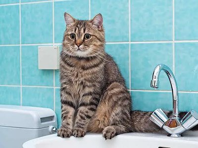 У Миколаєві селище залишилося без води