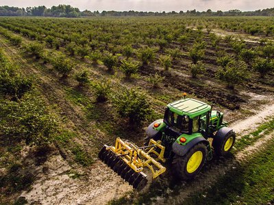 Захист фундука від моніліозу: поради фахівців у травні