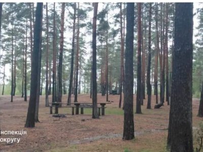 На Дубенщині ліквідували засмічення двох земельних ділянок після звернень громадян