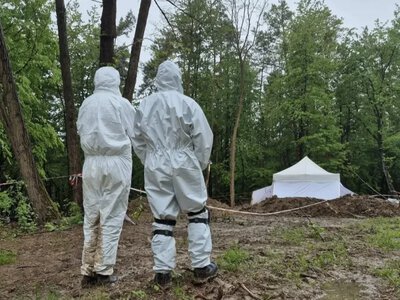 У Польщі розпочали пошукові дослідження місць поховань загиблих українців у Ласкові