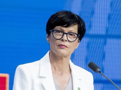 ЄС планує запровадити обмеження для аграрного сектору України після її вступу до блоку