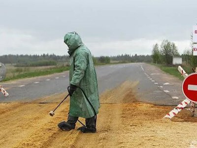 Росіяни активно закуповують роман Альбера Камю “Чума”, встановлюючи нові рекорди продажів