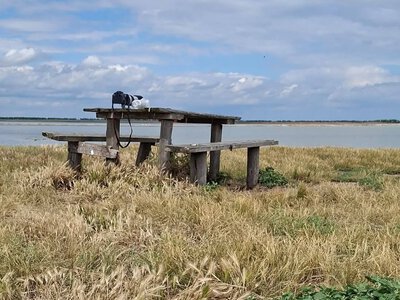 Обмежений доступ до води та проблеми зі сміттям: підсумки екологічної перевірки громад на Житомирщині