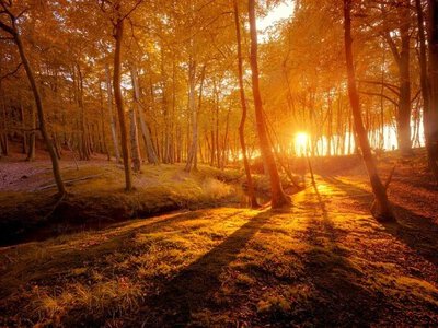 В Україну скоро повернуться дощі - скільки сонячних днів попереду