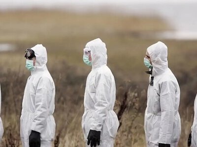 Спалах небезпечної хвороби у Румунії: під загрозою Ізмаїльський район
