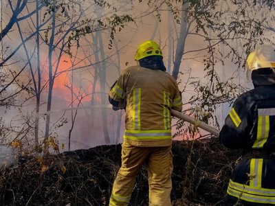 Понад десяток пожеж сталося на Вінниччині в екосистемах (ФОТО)