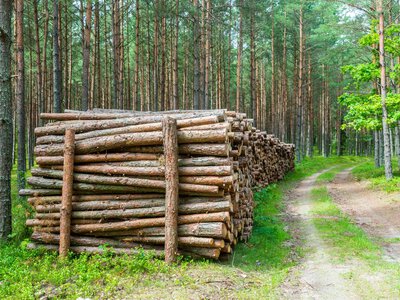 Субсидія на дрова та вугілля може сягнути 9 205 грн: заяву треба подати до кінця року