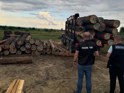 ДБР оголосило про початок спецоперації «Зелений щит» проти незаконних вирубок лісу