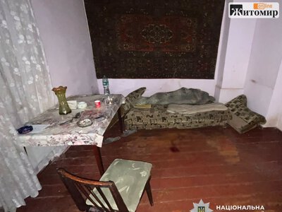 Вдарила ножем і викликала «швидку»: у Житомирі під час застілля жінка напала на знайомого