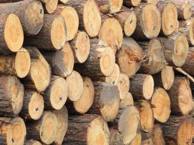 Субсидія на дрова та вугілля у 2026 році: хто може отримати й коли подати заяву