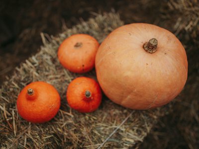 Гарбуз чи батат: який продукт корисніший для травлення