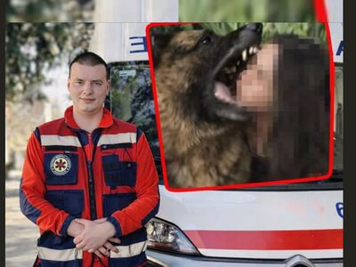 Спочатку падіння, потім напад собаки: на Закарпатті травмувалася 73-річна жінка