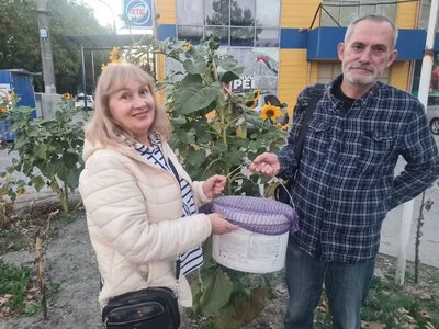 Херсонські черепахи знайшли безпечний дім у Миколаївському зоопарку