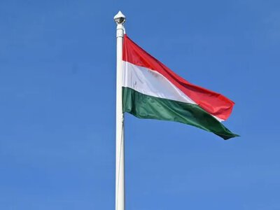Угорщина заявила про готовність надавати захист військовозобов’язаним українцям