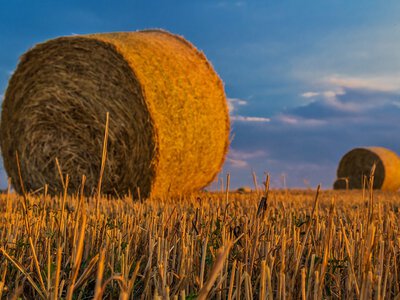 У вересні поставки української агропродукції за кордон зросли на 41%