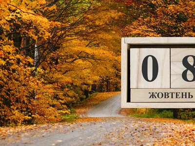 Сьогодні не можна лінуватися та рубати старі дерева: традиції та прикмети 8 жовтня