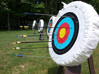 Чернівецькі лучники здобули шість нагород у фіналі Кубку України