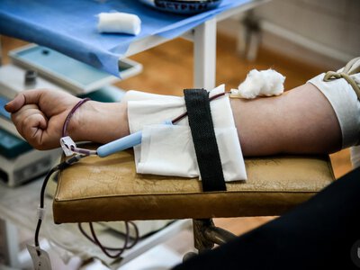 Подарунки, голубці та вино: у Чернівцях відбудеться донорська акція