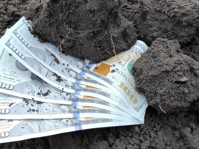 Українцям пропонують новий спосіб інвестувати: ставка на землю