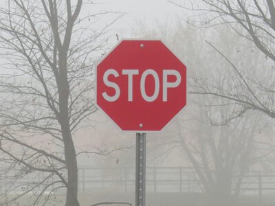 У Чернівцях на одній із вулиць тимчасово обмежать рух транспорту