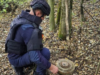 У лісі на Берегівщині грибник знайшов міну часів Другої світової війни
